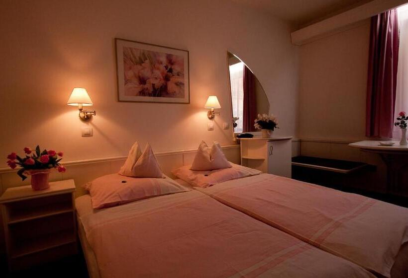 غرفة سوبيريور مطلّة علي الحديقة, Fábián Panzió