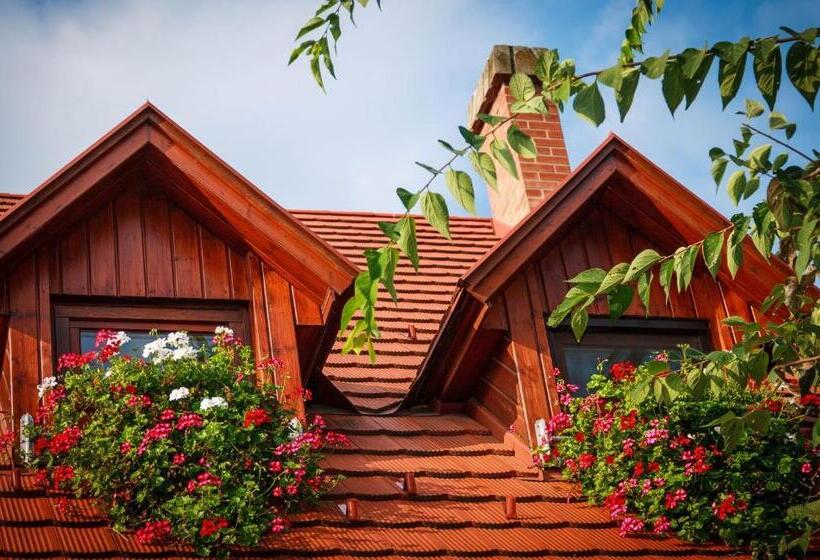 スタンダードシングルルーム, Fábián Panzió