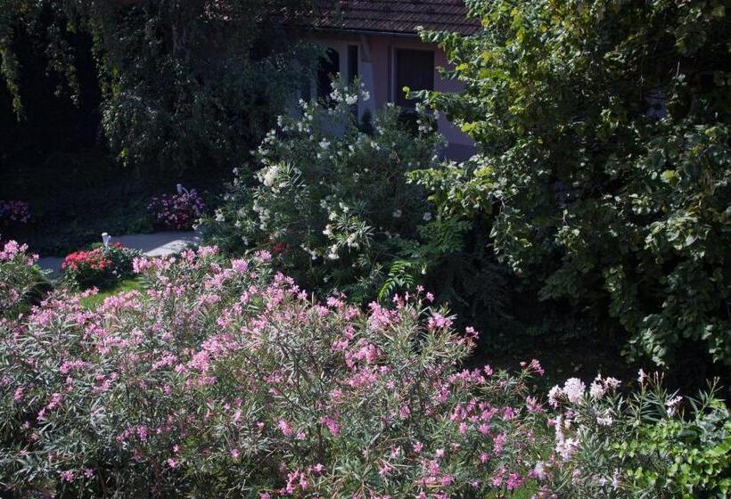 スタンダードシングルルーム, Fábián Panzió