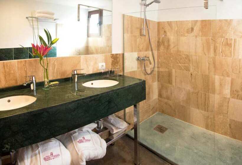 اتاق استاندارد با دسترسی به اسپا, Gran Hotel Soller