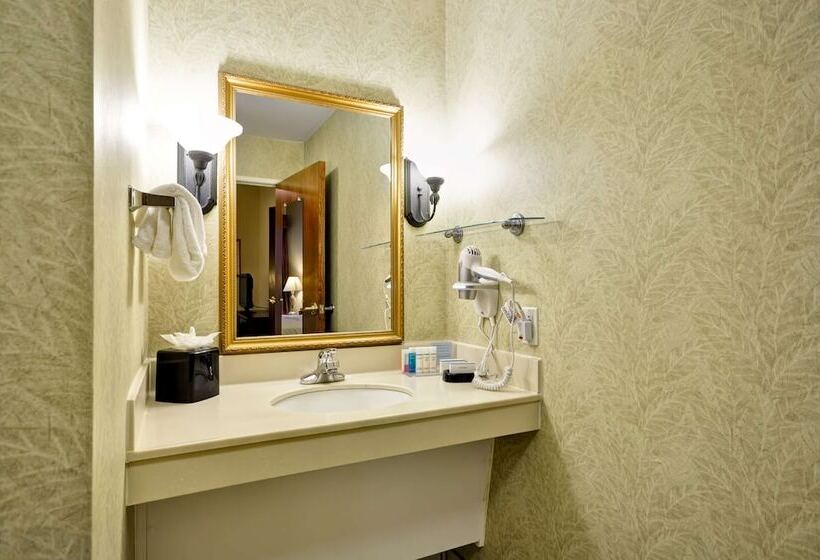 Mozgáskorlátozott Standard Szoba, Hampton Inn & Suites Charleston/west Ashley