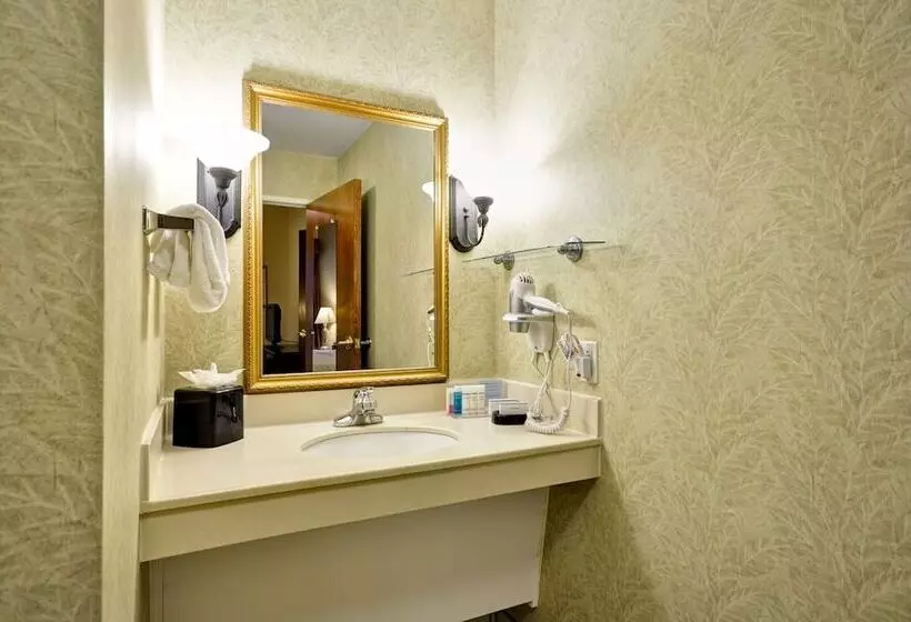 身障者適用スタンダードルーム, Hampton Inn & Suites Charleston/west Ashley