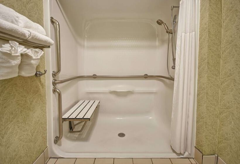 身障者適用スタンダードルーム, Hampton Inn & Suites Charleston/west Ashley