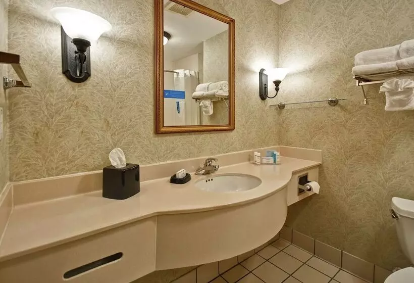 身障者適用スタンダードルーム, Hampton Inn & Suites Charleston/west Ashley
