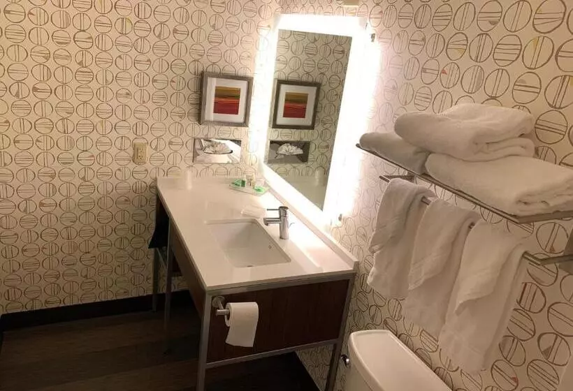 اتاق استاندارد با تخت بزرگ, Holiday Inn Baton Rouge South, An Ihg