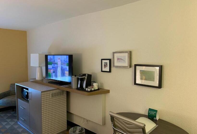 اتاق استاندارد با تخت بزرگ, Holiday Inn Baton Rouge South, An Ihg