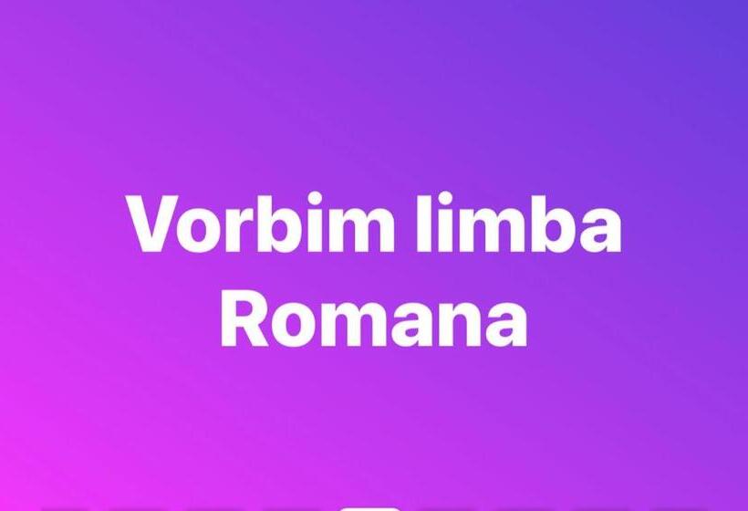 Economy Triple Room, Rex