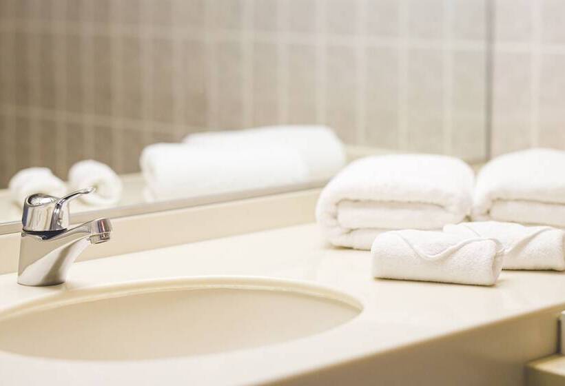 חדר קלאסי, Grand Mercure Sapporo Odori Park