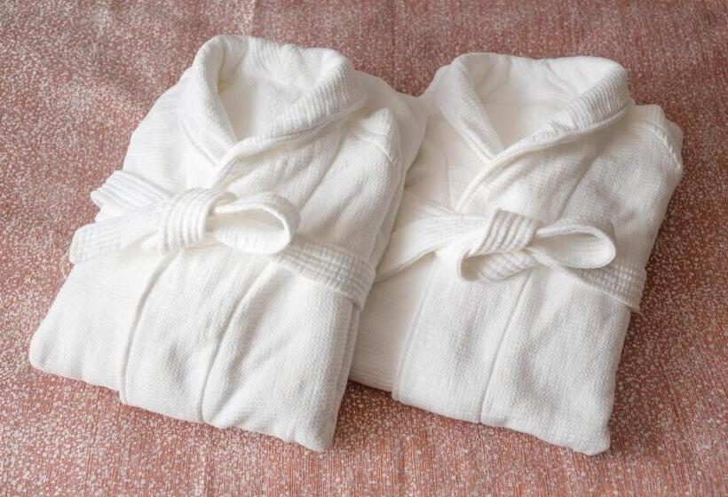 Номер Basic, The Celestine Tokyo Shiba