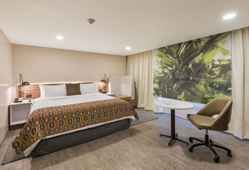 جناح جونيور, Wyndham Garden Quito