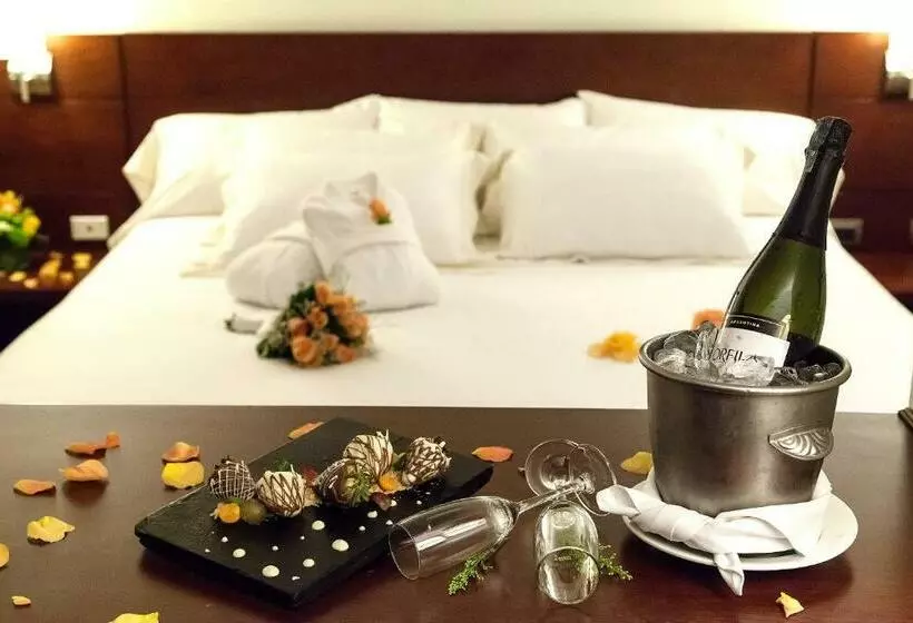سوئیت با تخت بزرگ, Radisson Bogota Metrotel