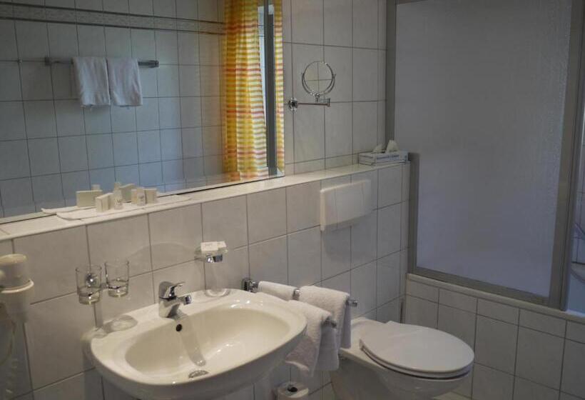 Номер Стандарт, Aparthotel Fackler