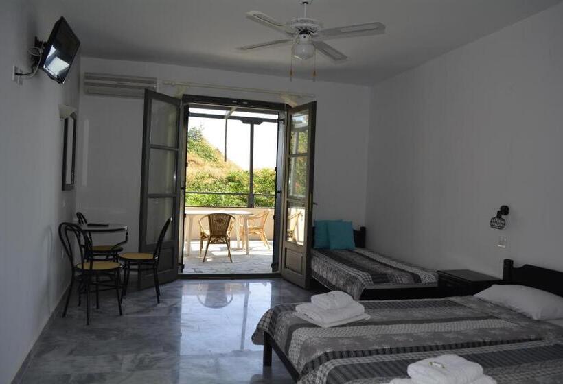 استودیو استاندارد با تراس, Arellis Studios