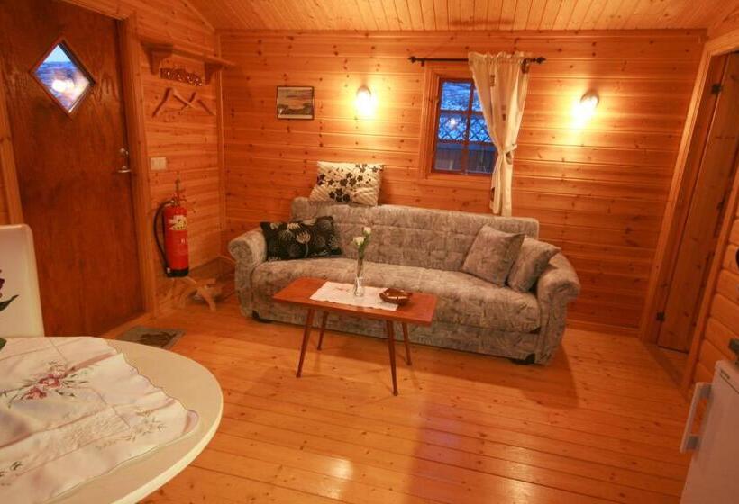 اتاق استاندارد با وان آب گرم, Sireksstadir Farm Holiday
