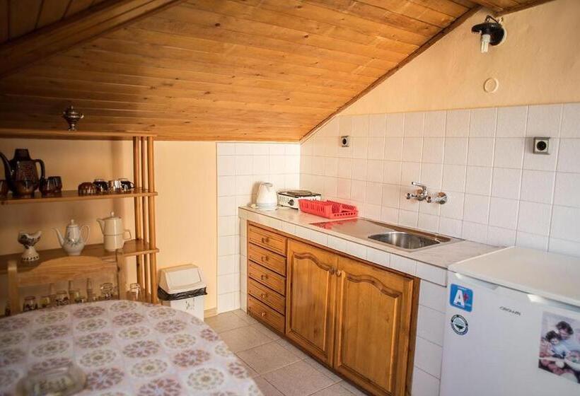 اتاق استاندارد با بالکن, Home Gramatikovi