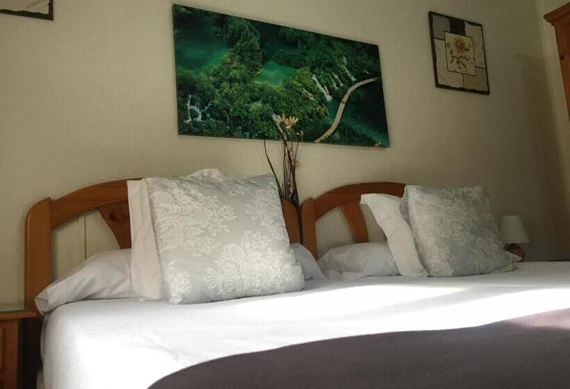 اتاق استاندارد, Pensión Leyre