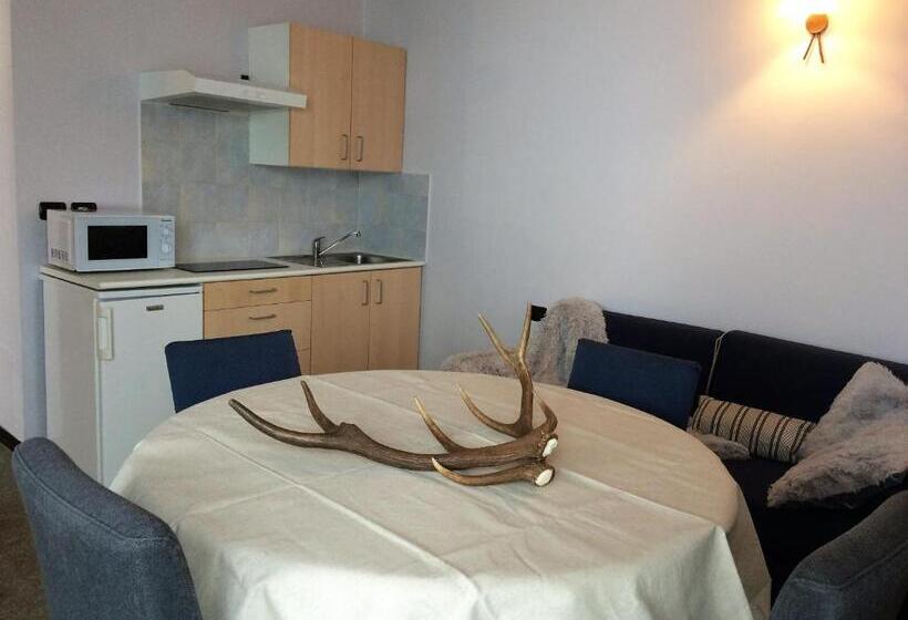 شقة غرفة واحدة, Chalet Weal