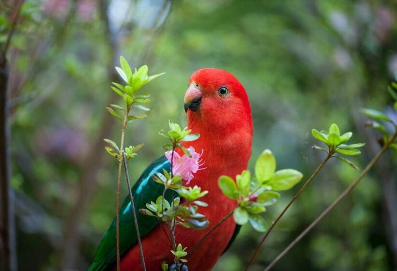 1ベッドルームハウス, Linden Gardens Rainforest Retreat