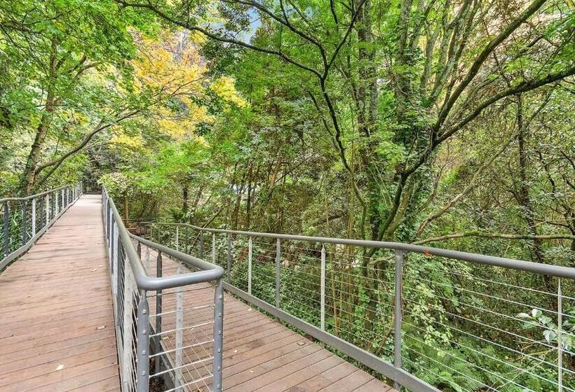 スイート, Linden Gardens Rainforest Retreat