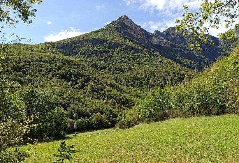 ویلای 1 خوابه, Saecula Natural Village Experience