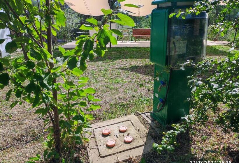 چادر با خدمات رفاهی استاندارد, Saecula Natural Village Experience