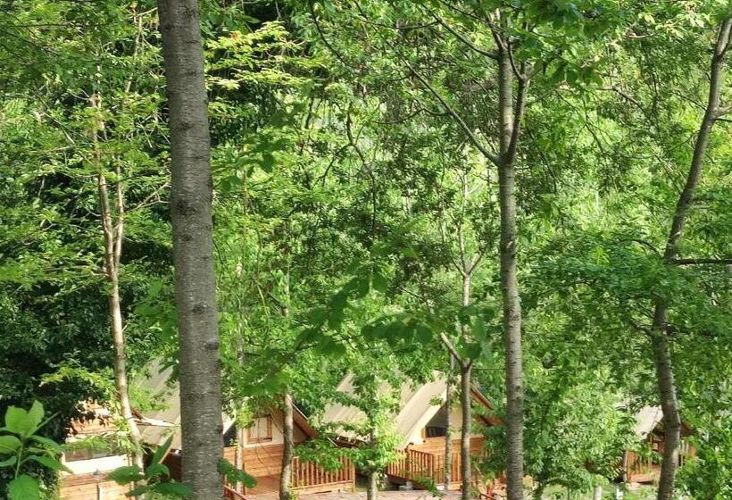 منزل غرفة نوم واحدة, Saecula Natural Village Experience