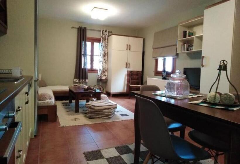 דירת חדר סופריור, Stilvi