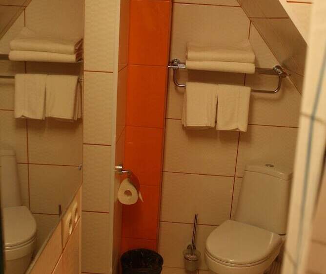 标准间, Vnukovo Hotel Moscow