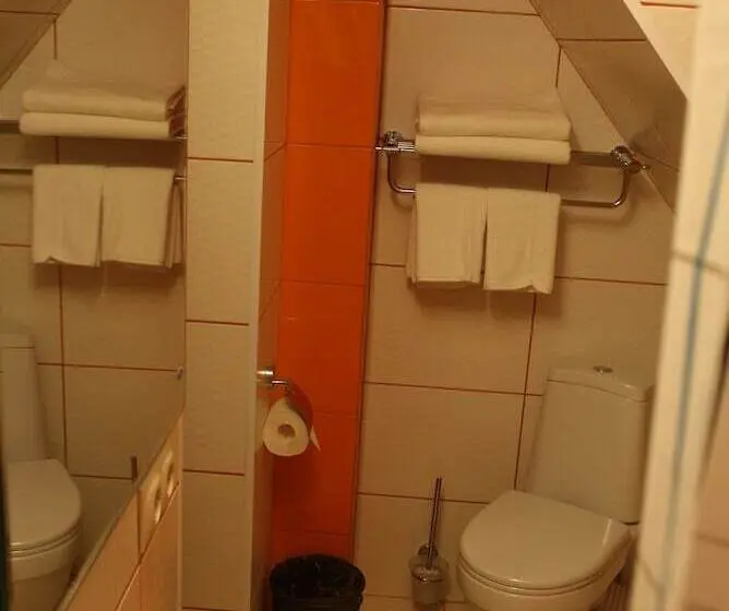 اتاق استاندارد, Vnukovo Hotel Moscow