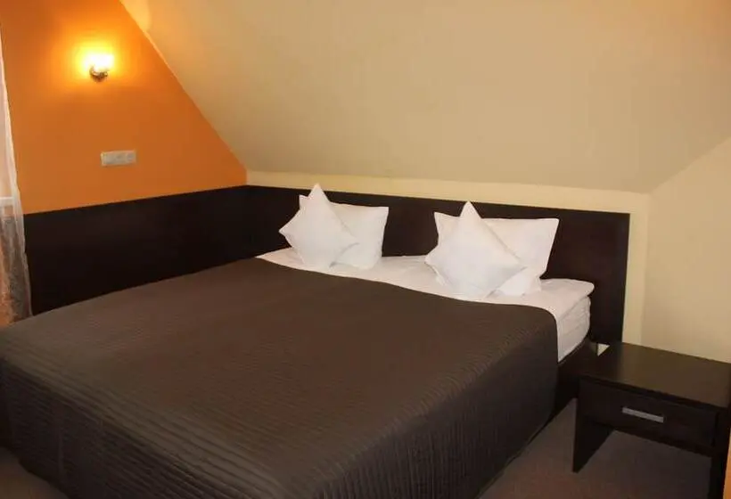 اتاق استاندارد, Vnukovo Hotel Moscow