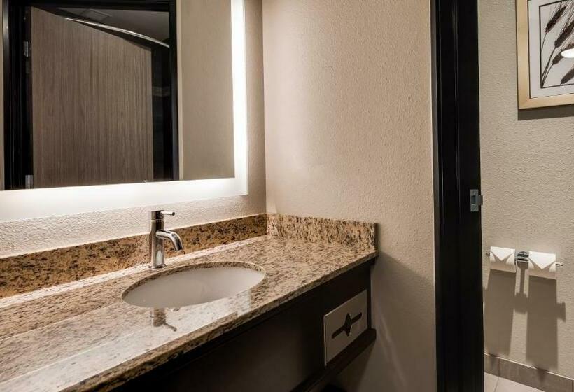 스탠다드 룸 킹사이즈 침대, Best Western Plus The Inn At Hells Canyon