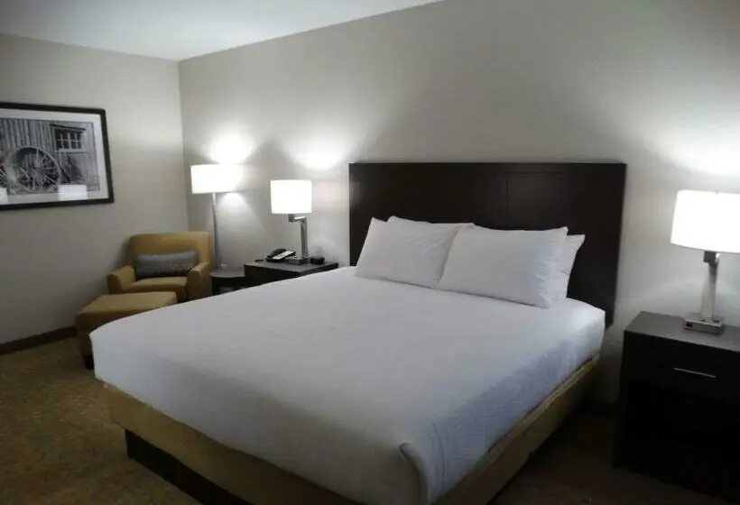 キングサイズベッドのスタンダードルーム, Best Western Plus The Inn At Hells Canyon