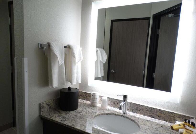 スタンダードルーム, Best Western Plus The Inn At Hells Canyon