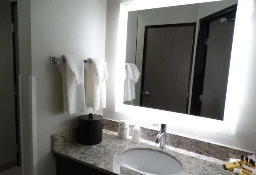 スタンダードルーム, Best Western Plus The Inn At Hells Canyon