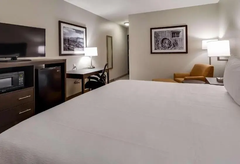 身障者適用キングサイズベッドルーム, Best Western Plus The Inn At Hells Canyon