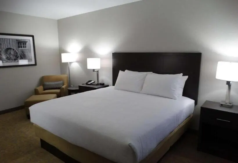 身障者適用キングサイズベッドルーム, Best Western Plus The Inn At Hells Canyon