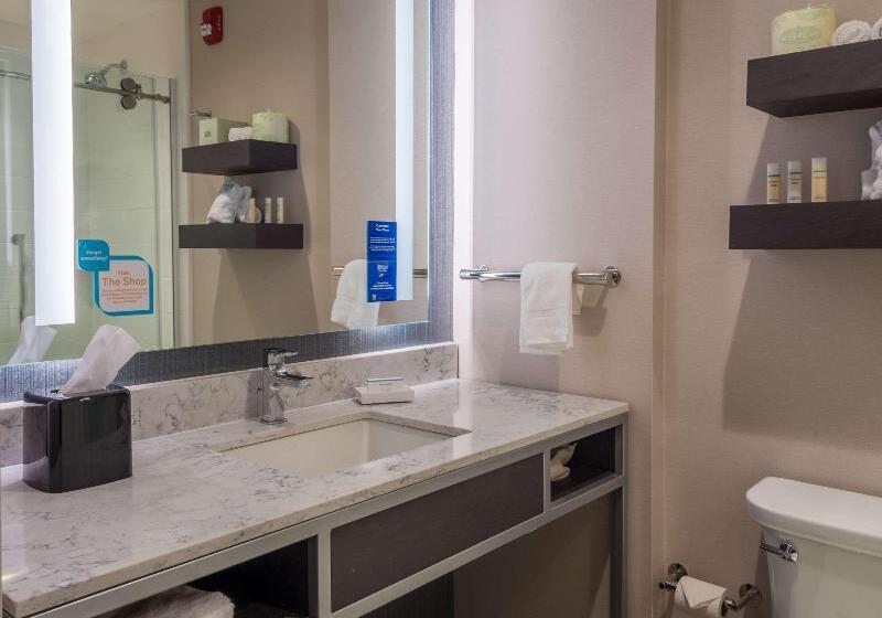 带大床的标准间, Hilton Garden Inn Memphis East Germantown, Tn