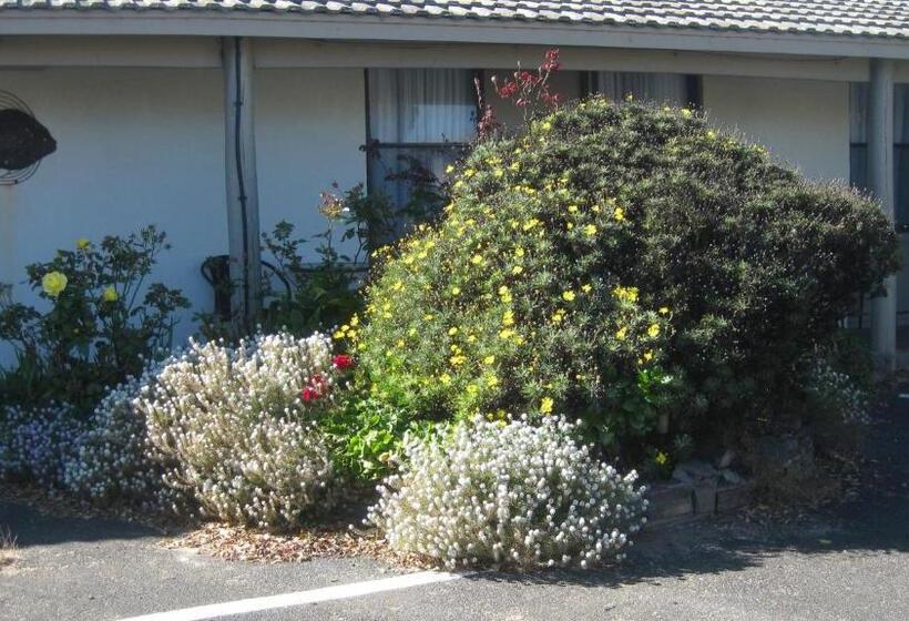 ファミリールーム, Robe Haven Motel