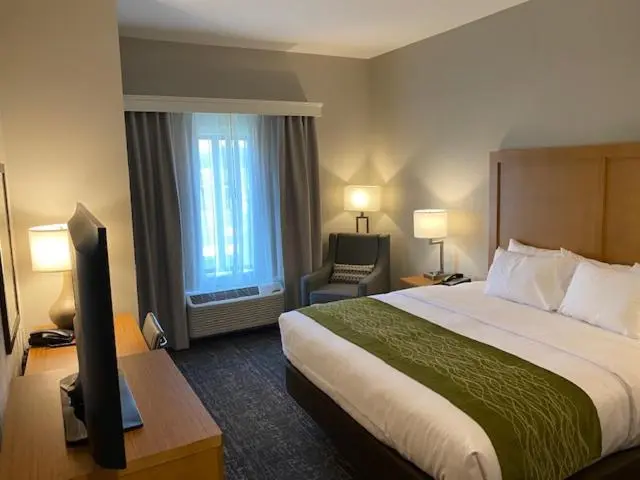 キングサイズベッドのスタンダードルーム, Comfort Inn