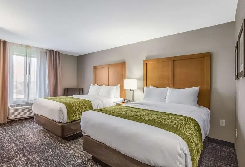 2ダブルベッドのスタンダードルーム, Comfort Inn