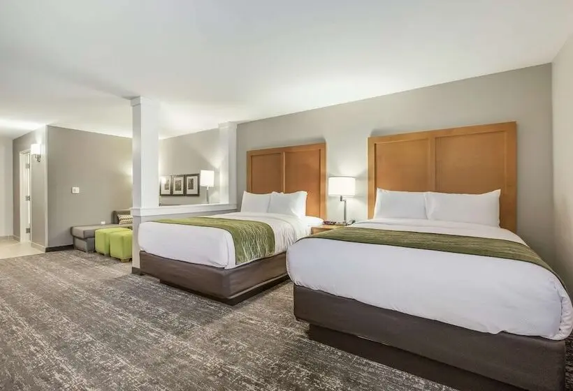 スイート, Comfort Inn