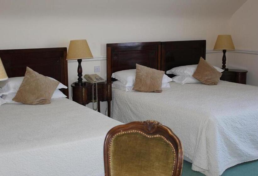 Номер Deluxe, Kilcooly S Country House