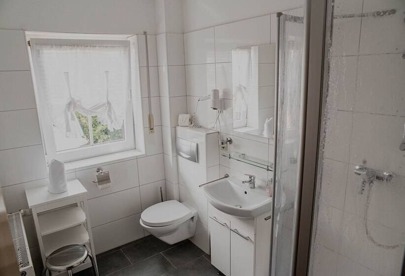 غرفة إقتصادية, Pension Frisia