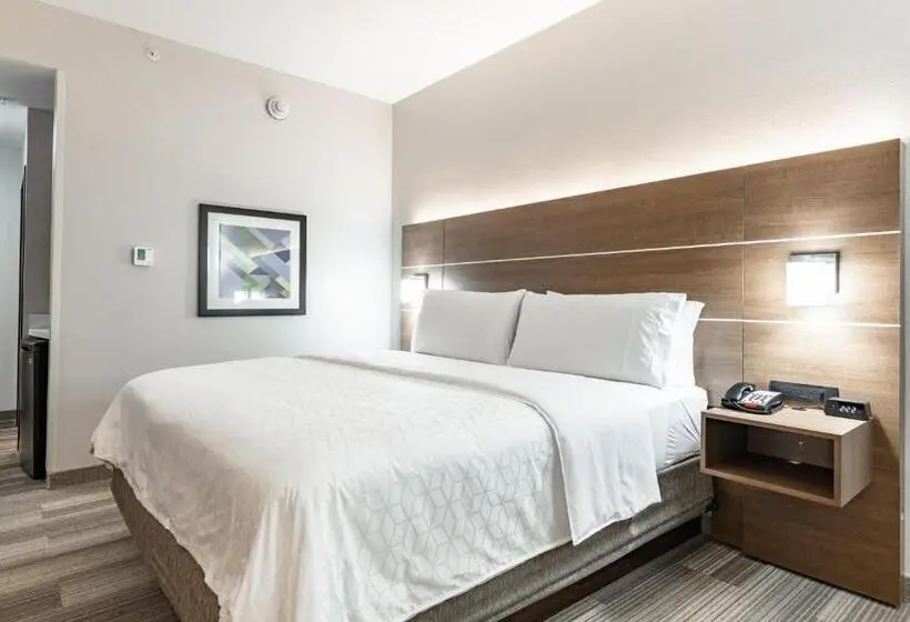 身障者適用キングサイズベッドルーム, Holiday Inn Express & Suites   Moundsville, An Ihg