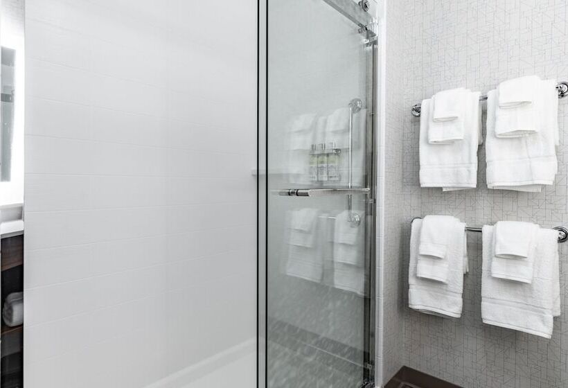 Номер Премиум, Holiday Inn Express & Suites   Moundsville, An Ihg