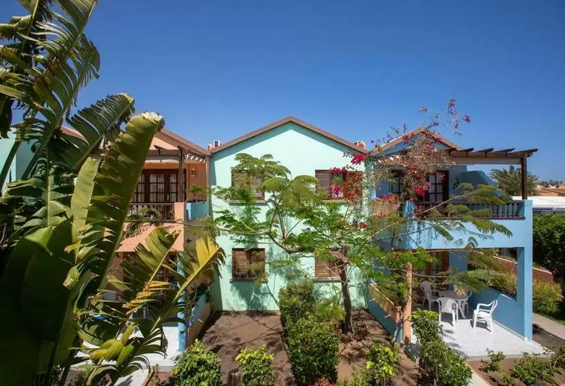 آپارتمان سوپریور 1 خوابه, Club Vista Serena