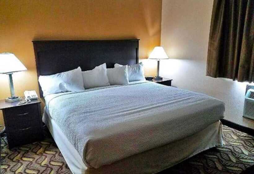 行政房间, Americas Best Value Inn And Suites Bismarck