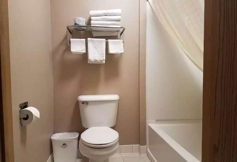 ２ダブルベッドのスタンダードルーム, Americas Best Value Inn And Suites Bismarck
