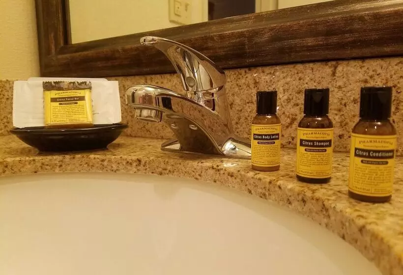 2ダブルベッドのスタンダードルーム, Best Western Plus Rivershore
