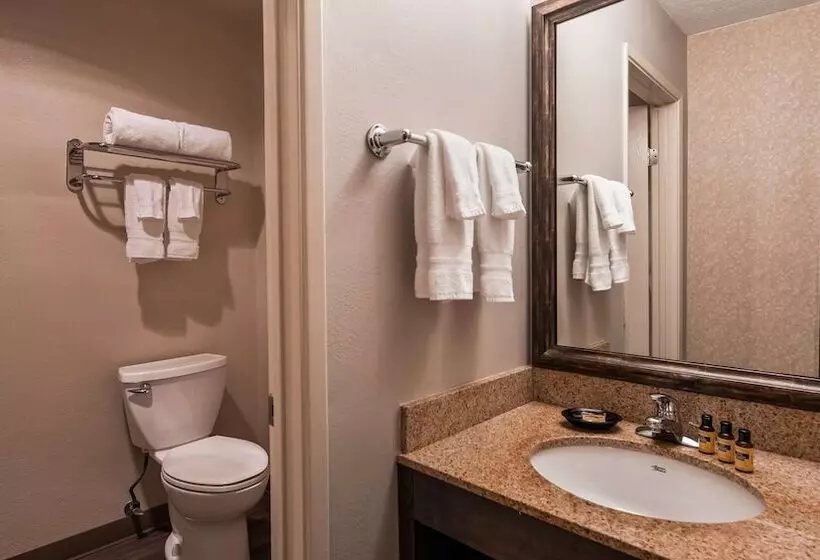 2ダブルベッドのスタンダードルーム, Best Western Plus Rivershore